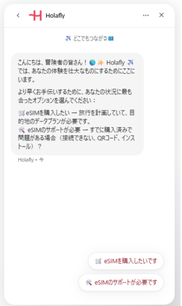 Holafly　チャット画面